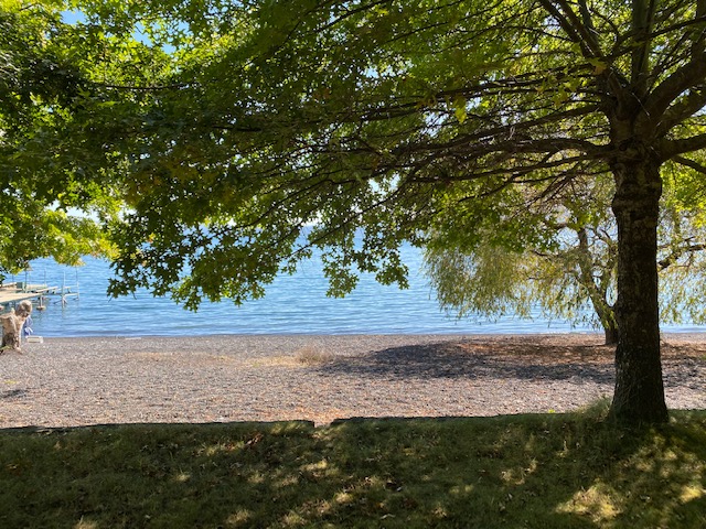 Pucon vendo terreno orilla de lago