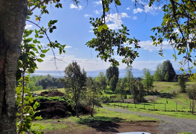 Pucón vendo terreno en condominio
