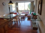 living comedor